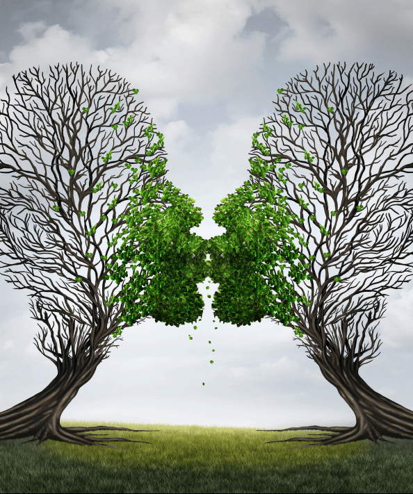 Tree kissing creative image